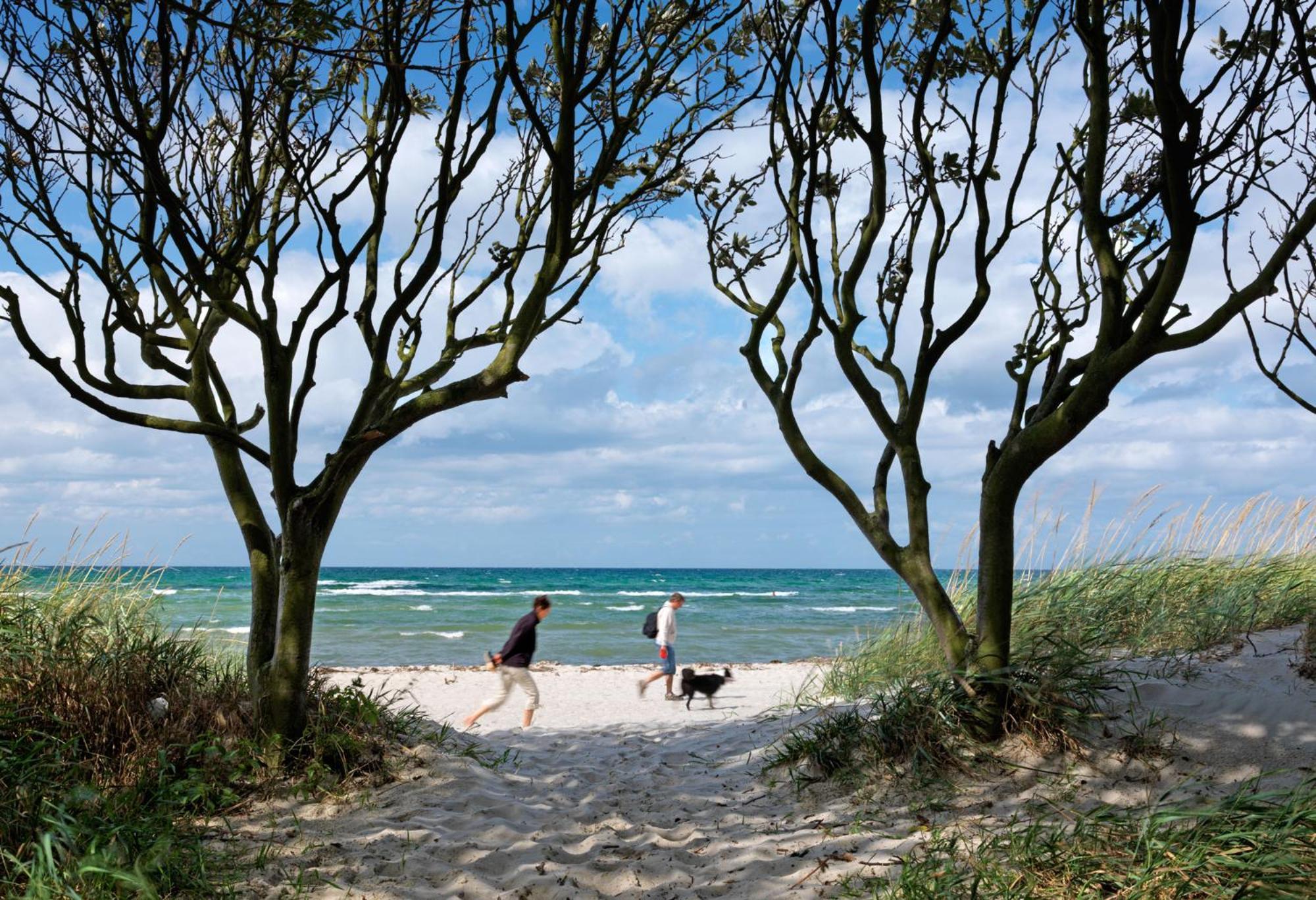 Reihenhäuser Timmendorf Strand Haus Sonnenaufgang Poel Exterior foto